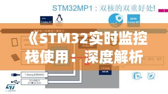 《STM32实时监控栈使用：深度解析与优化策略》