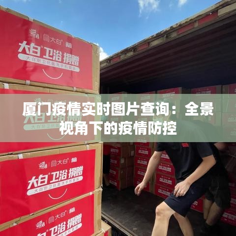 厦门疫情实时图片查询：全景视角下的疫情防控