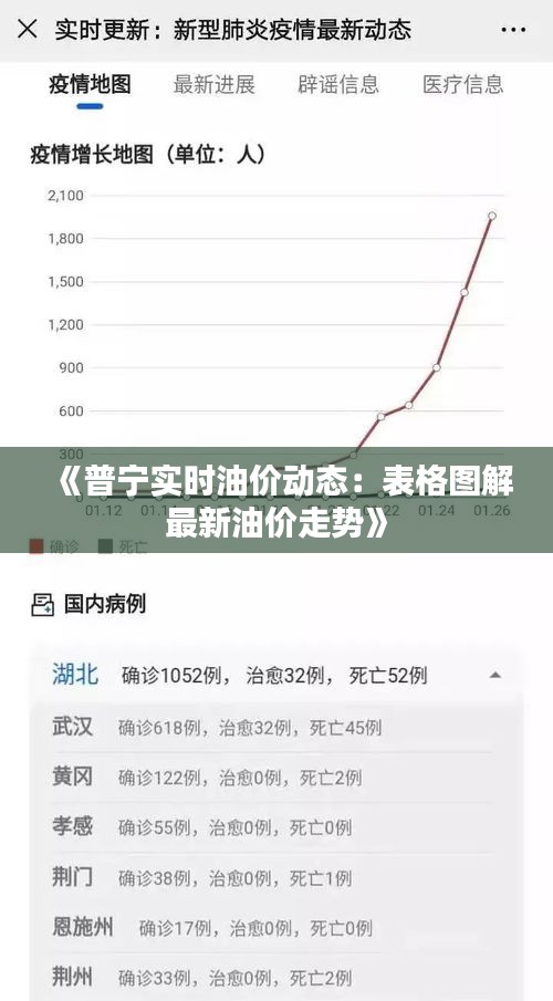 《普宁实时油价动态：表格图解最新油价走势》
