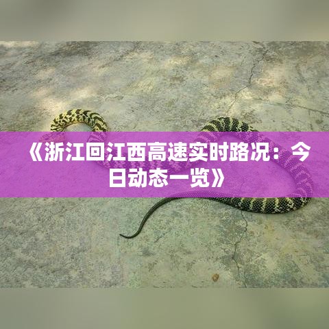 联系我们 第255页