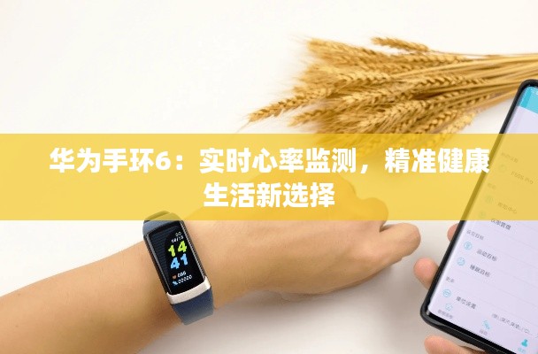 华为手环6：实时心率监测，精准健康生活新选择