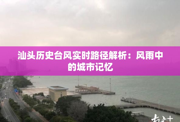灰飞烟灭 第5页