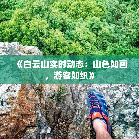 《白云山实时动态：山色如画，游客如织》