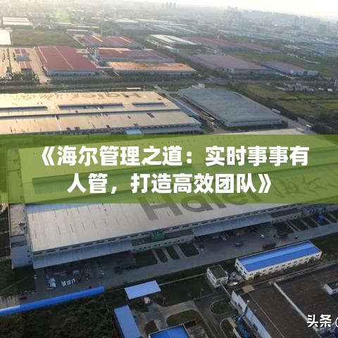 益胶泥 第253页