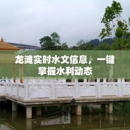 龙滩实时水文信息，一键掌握水利动态