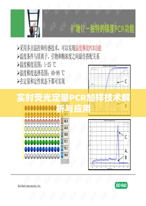 实时荧光定量PCR加样技术解析与应用