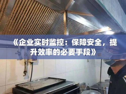 公司简介 第249页