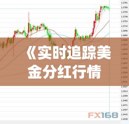 《实时追踪美金分红行情：市场动态一览无遗》