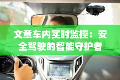 敷衍了事 第5页