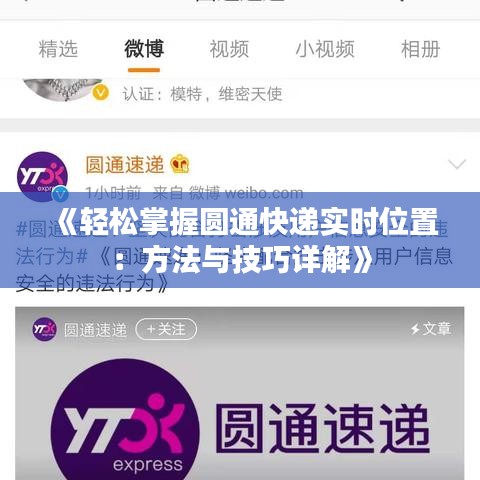 纲举目张 第4页