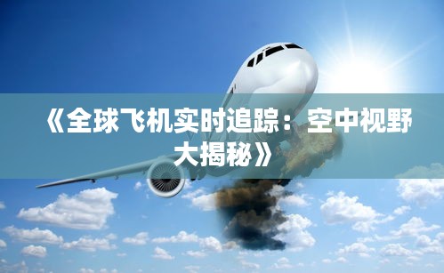 《全球飞机实时追踪：空中视野大揭秘》