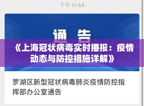 《上海冠状病毒实时播报：疫情动态与防控措施详解》