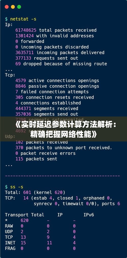 《实时延迟参数计算方法解析：精确把握网络性能》