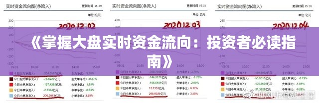 公司简介 第245页