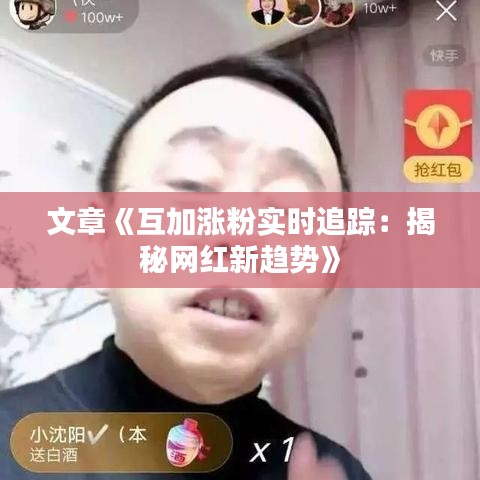 文章《互加涨粉实时追踪：揭秘网红新趋势》
