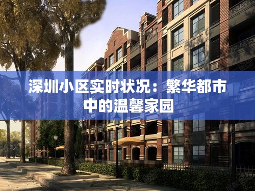 深圳小区实时状况：繁华都市中的温馨家园