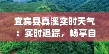 空谷幽兰 第4页
