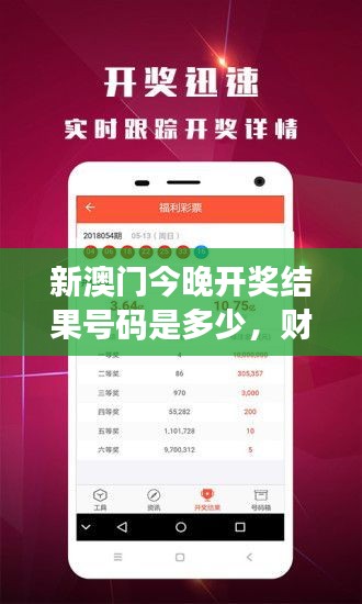 新澳门今晚开奖结果号码是多少，财富的随机分配令人兴奋