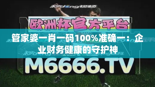 管家婆一肖一码100%准确一：企业财务健康的守护神