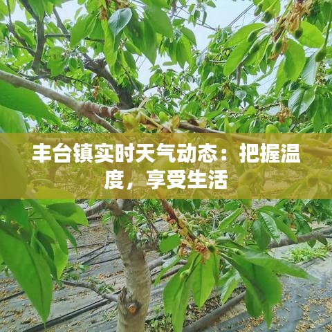 产品中心 第1188页