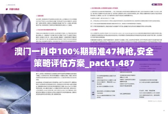 澳门一肖中100%期期准47神枪,安全策略评估方案_pack1.487