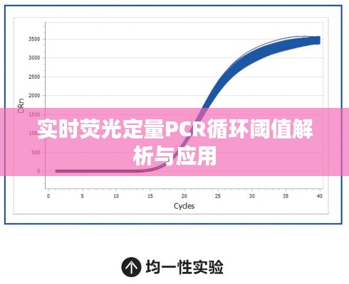 实时荧光定量PCR循环阈值解析与应用