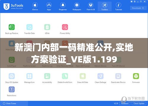 新澳门内部一码精准公开,实地方案验证_VE版1.199