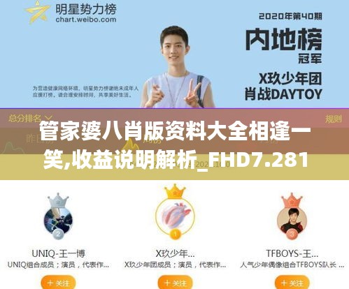 管家婆八肖版资料大全相逢一笑,收益说明解析_FHD7.281