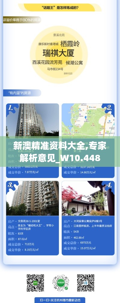 新澳精准资料大全,专家解析意见_W10.448
