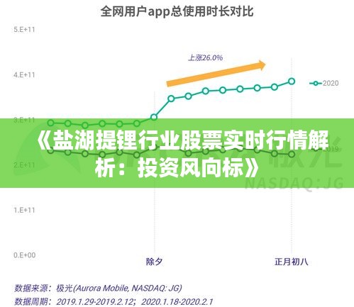《盐湖提锂行业股票实时行情解析：投资风向标》