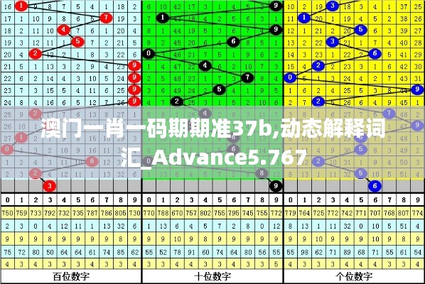 澳门一肖一码期期准37b,动态解释词汇_Advance5.767