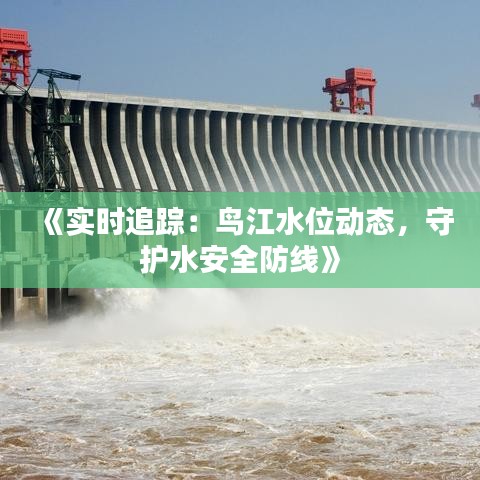 《实时追踪：鸟江水位动态，守护水安全防线》