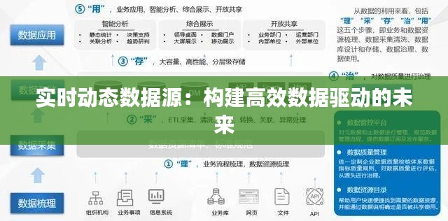实时动态数据源：构建高效数据驱动的未来