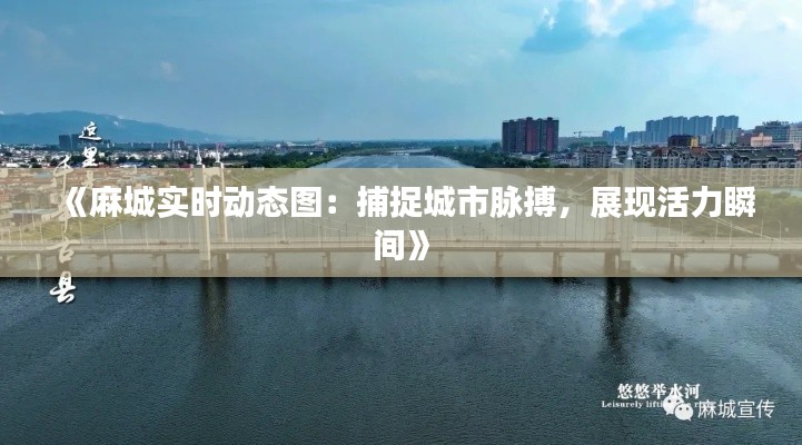 择善而从 第6页