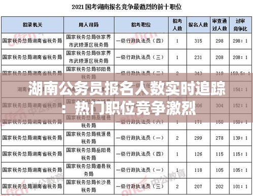 湖南公务员报名人数实时追踪：热门职位竞争激烈