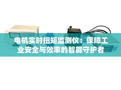 电机实时扭矩监测仪：保障工业安全与效率的智能守护者