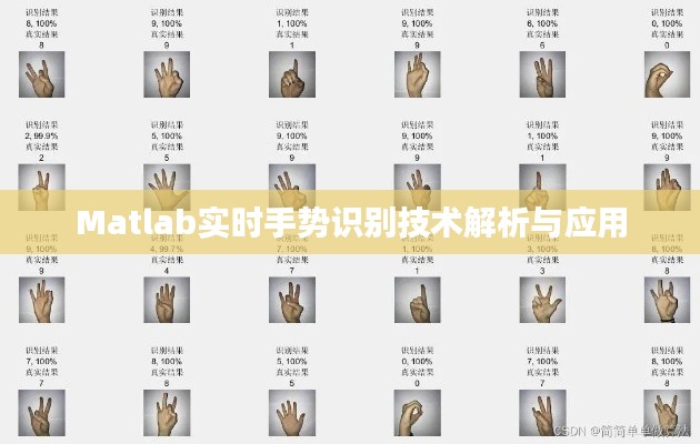 Matlab实时手势识别技术解析与应用