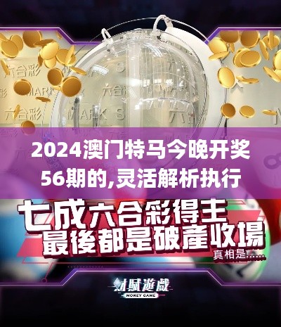2024澳门特马今晚开奖56期的,灵活解析执行_Z10.787