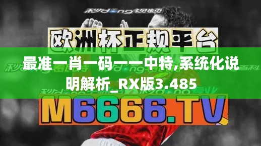最准一肖一码一一中特,系统化说明解析_RX版3.485