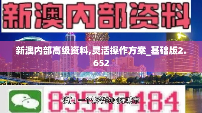 新澳内部高级资料,灵活操作方案_基础版2.652