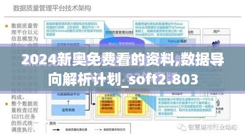 2024新奥免费看的资料,数据导向解析计划_soft2.803