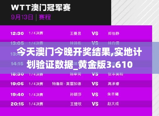 今天澳门今晚开奖结果,实地计划验证数据_黄金版3.610