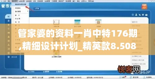 管家婆的资料一肖中特176期,精细设计计划_精英款8.508