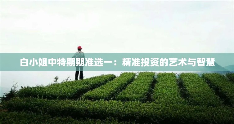 白小姐中特期期准选一：精准投资的艺术与智慧