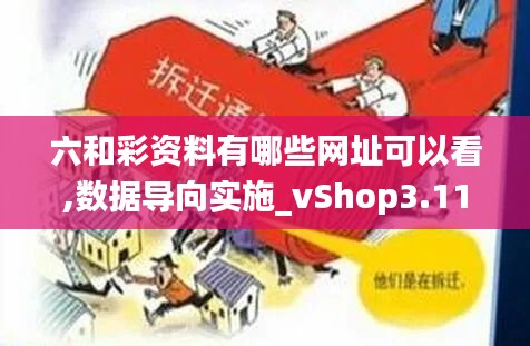六和彩资料有哪些网址可以看,数据导向实施_vShop3.114