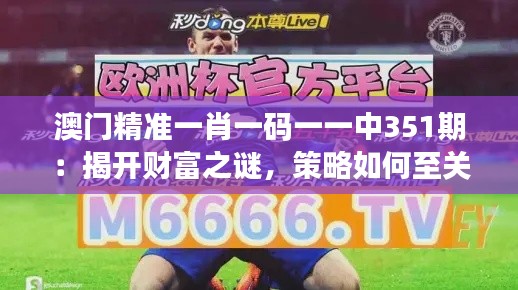 澳门精准一肖一码一一中351期：揭开财富之谜，策略如何至关重要
