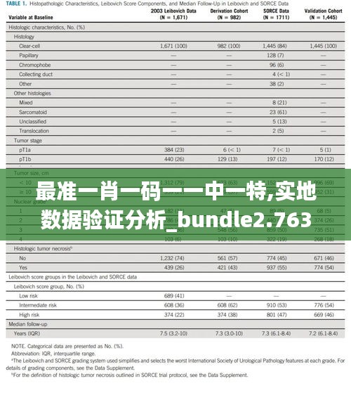 最准一肖一码一一中一特,实地数据验证分析_bundle2.763