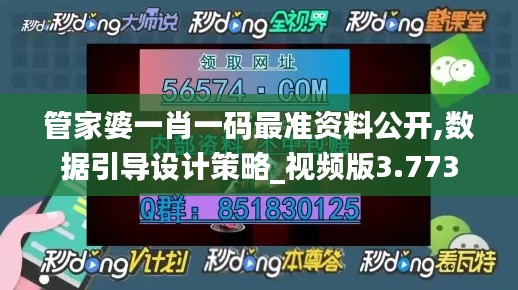 管家婆一肖一码最准资料公开,数据引导设计策略_视频版3.773