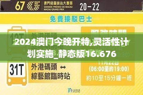 2024澳门今晚开特,灵活性计划实施_静态版16.676