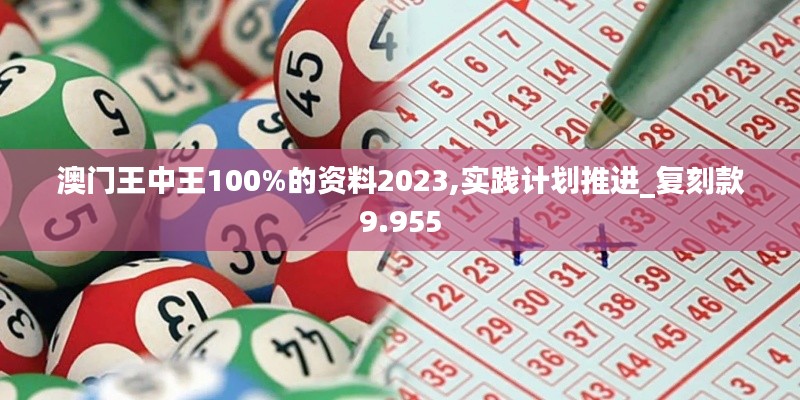 澳门王中王100%的资料2023,实践计划推进_复刻款9.955